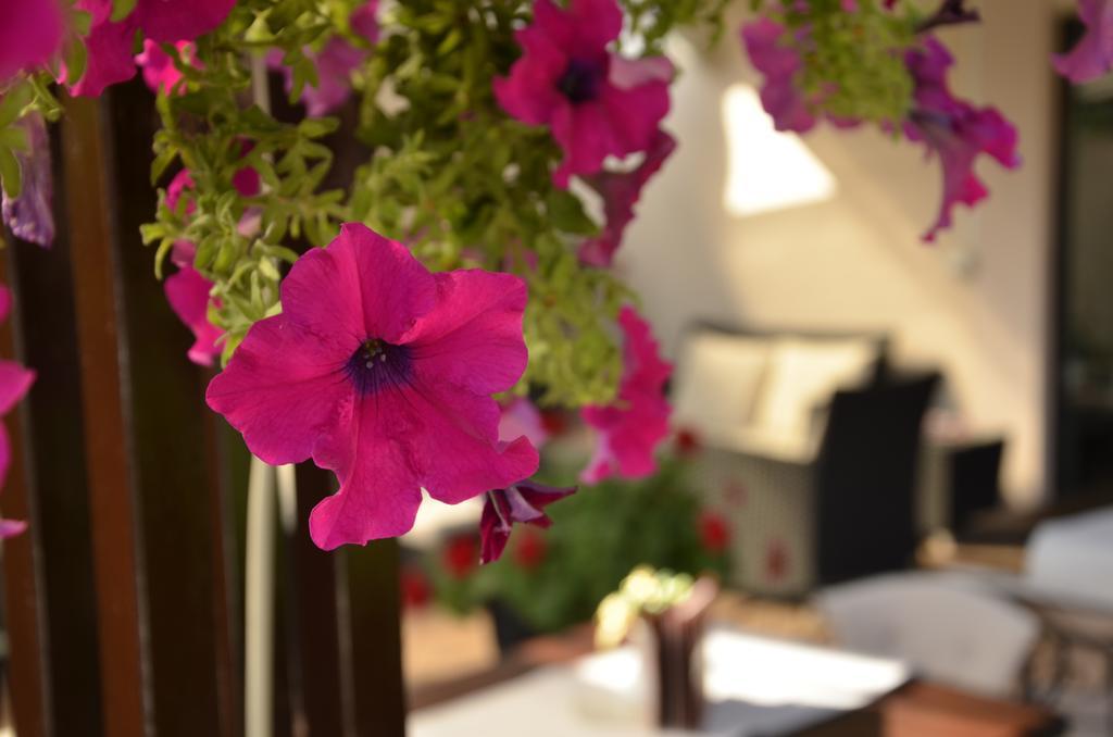 Hotel Topcider Belgrad Exterior foto